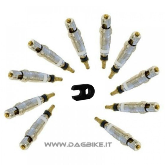 RIcambi Per Valvola Presta 10pz con Chiavetta